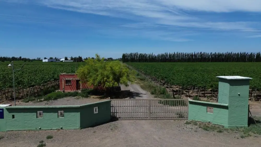 Inmueble productivo de 70,0 ha en Jocolí, foto 2