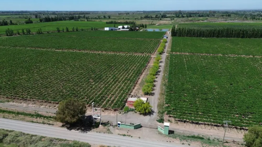 Inmueble productivo de 70,0 ha en Jocolí, foto 3