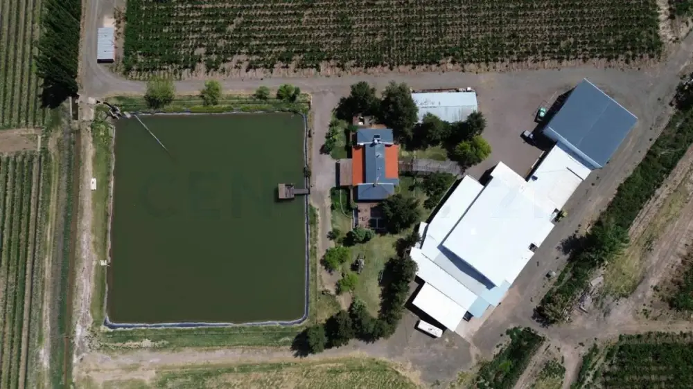 Inmueble productivo de 70,0 ha en Jocolí, foto 4
