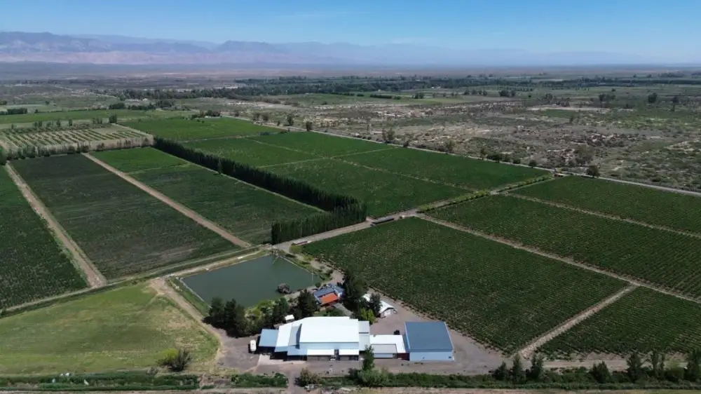 Inmueble productivo de 70,0 ha en Jocolí, foto 5