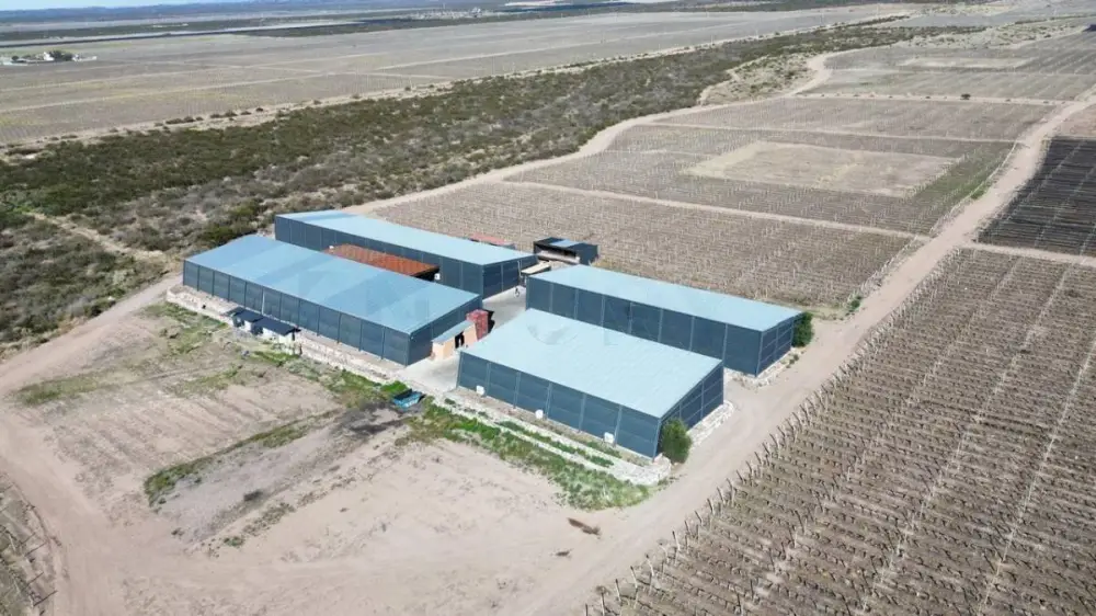 Inmueble productivo de 6.000 m² en Agrelo, foto 3