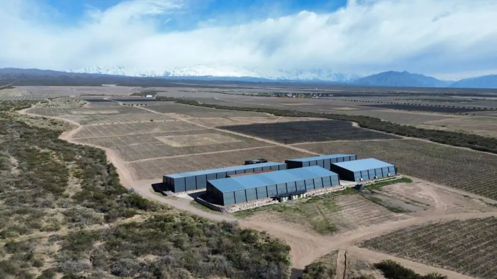 Inmueble productivo de 6.000 m² en Agrelo, foto 4