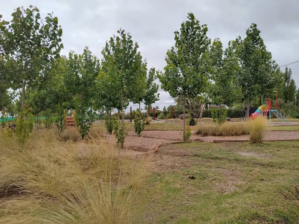 Lote de 500 m² en San Rafael, foto 5
