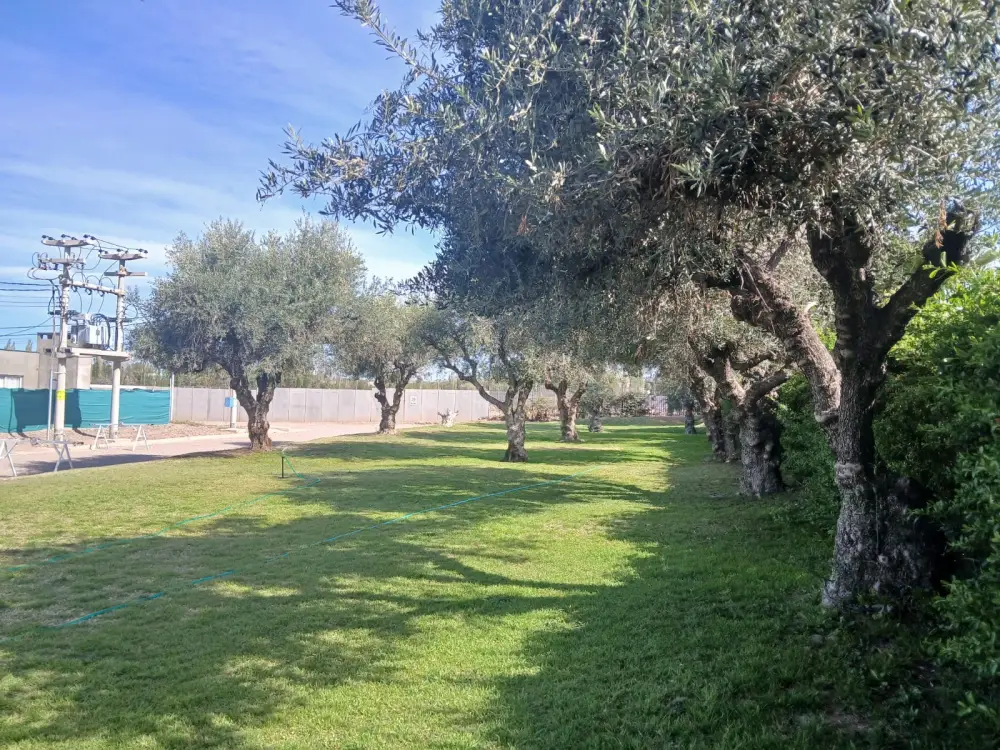 Lote de 300 m² en AMPROS V, foto 5