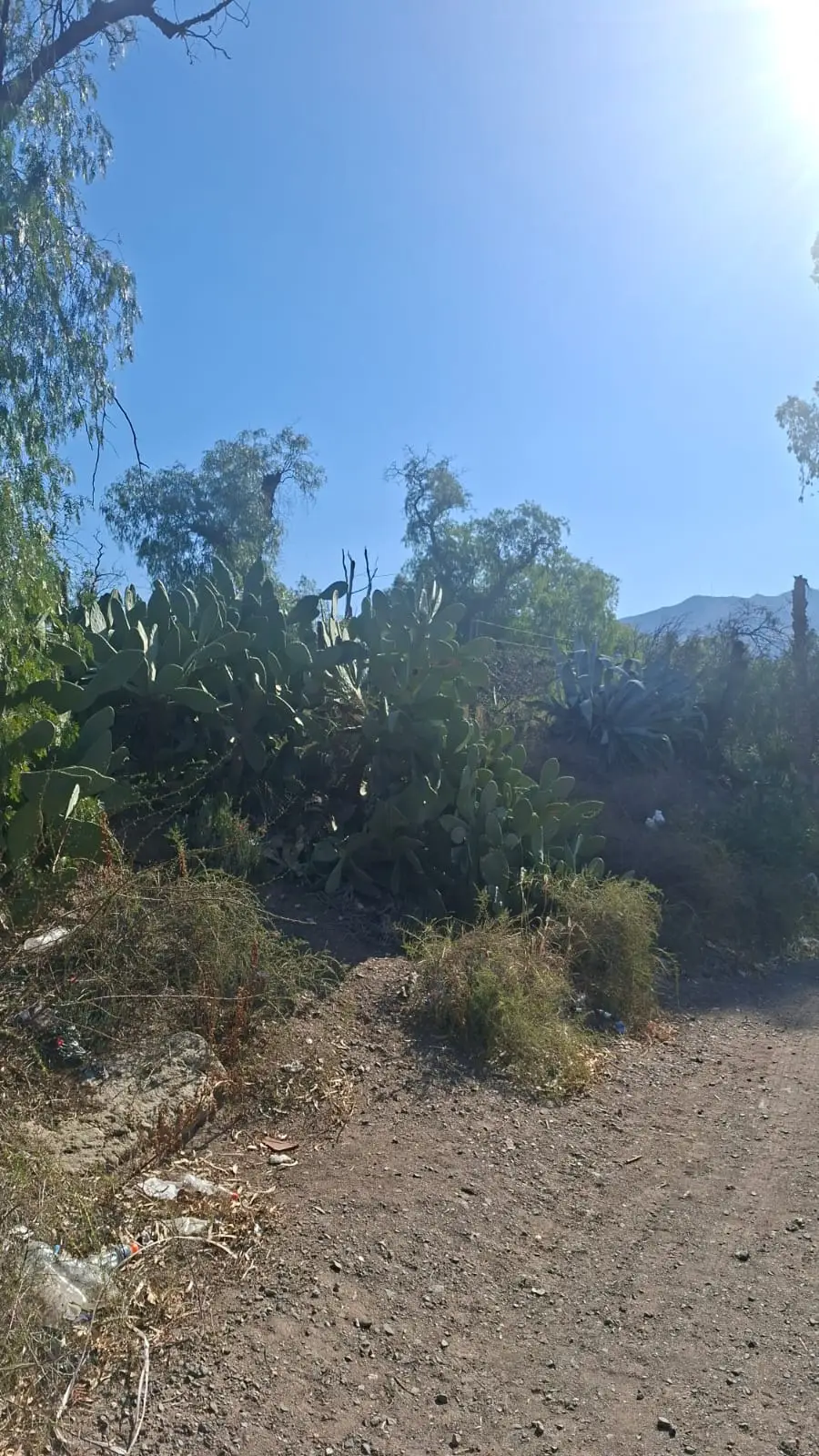 Lote de 1.045 m² en El Challao, foto 2