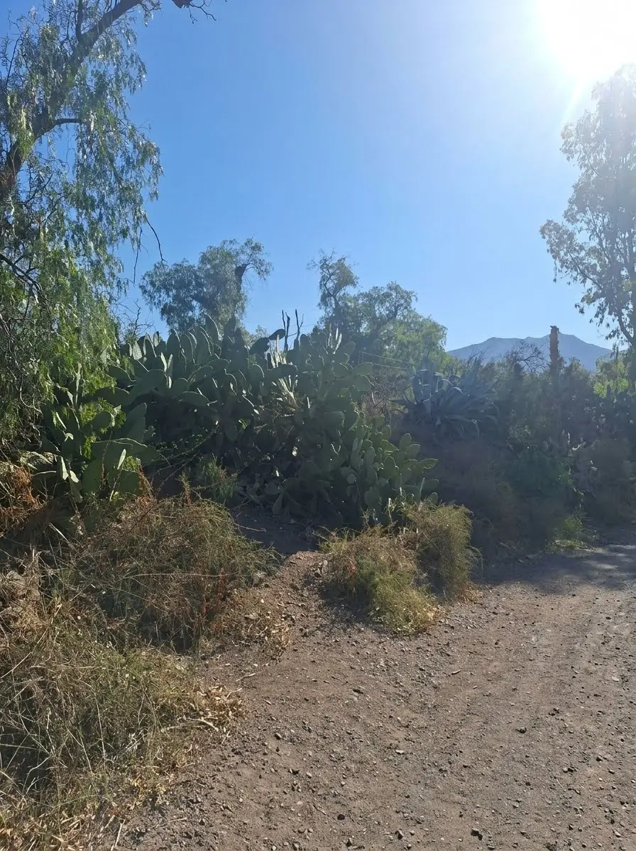 Lote de 1.045 m² en El Challao, foto 5