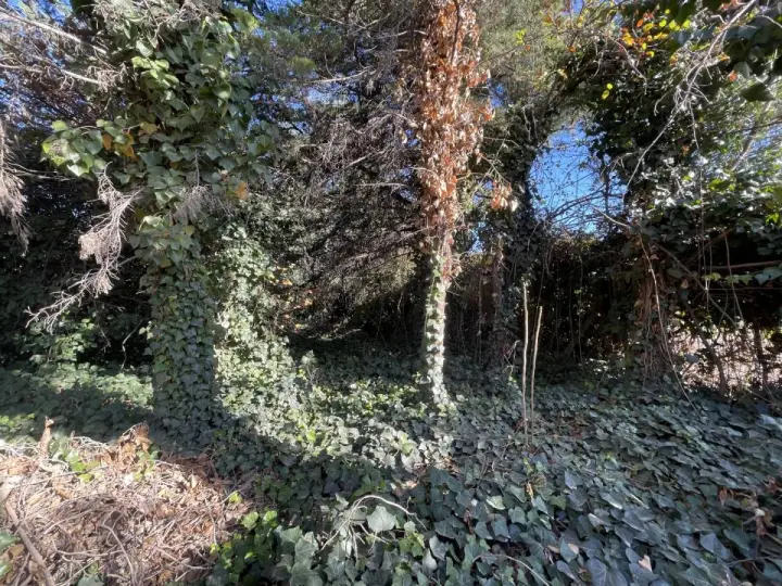 Lote de 1.400 m² en Vistalba, foto 1