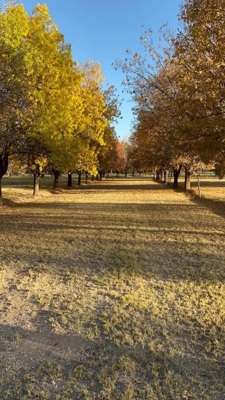 Lote de 11,0 ha en Luján de Cuyo