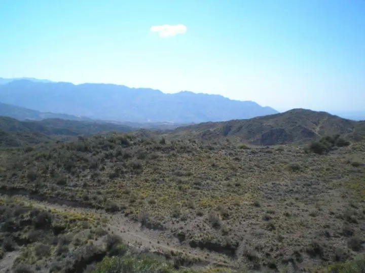 Lote de 10.000 m² en Luján de Cuyo, foto 1