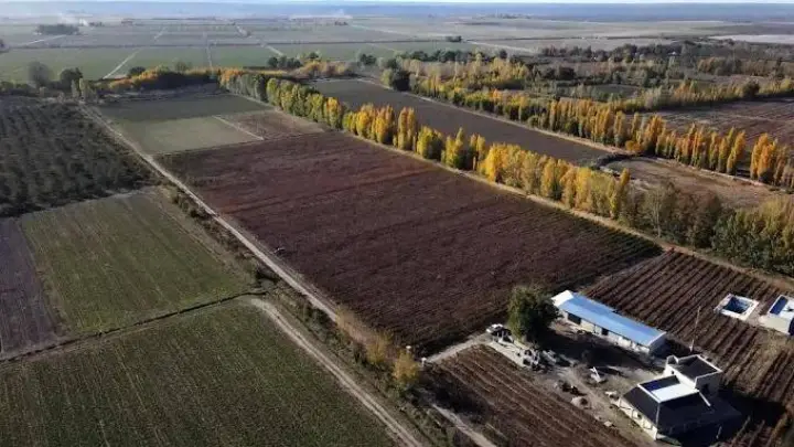 Finca de 9 m² en Chilecito