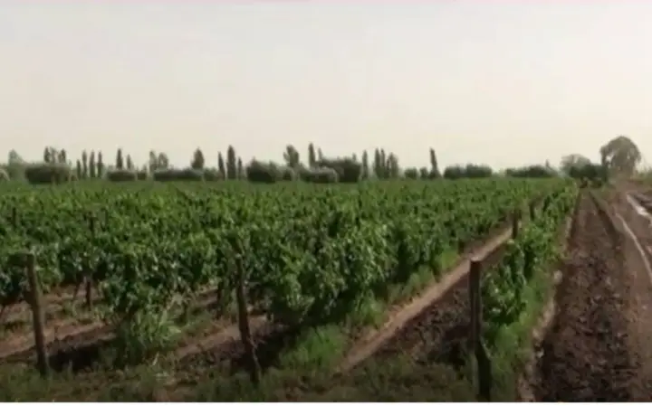 Finca de 80 m² en General San Martín
