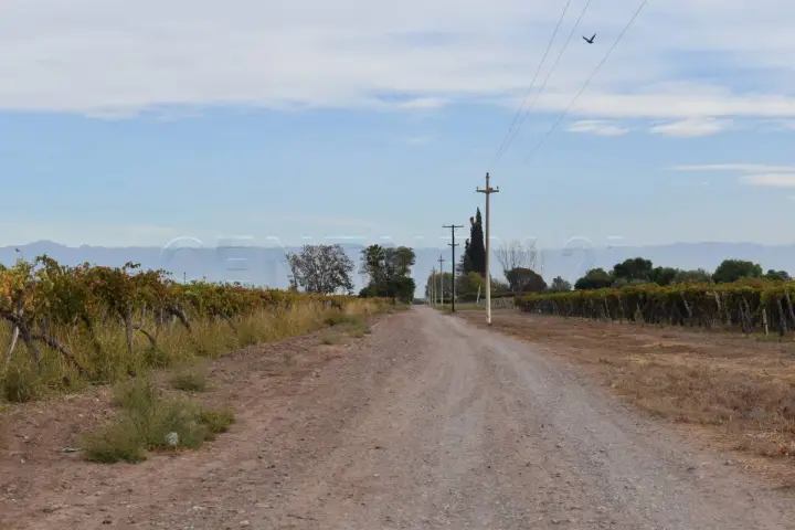 Campo de 10,0 ha en General San Martín, foto 1