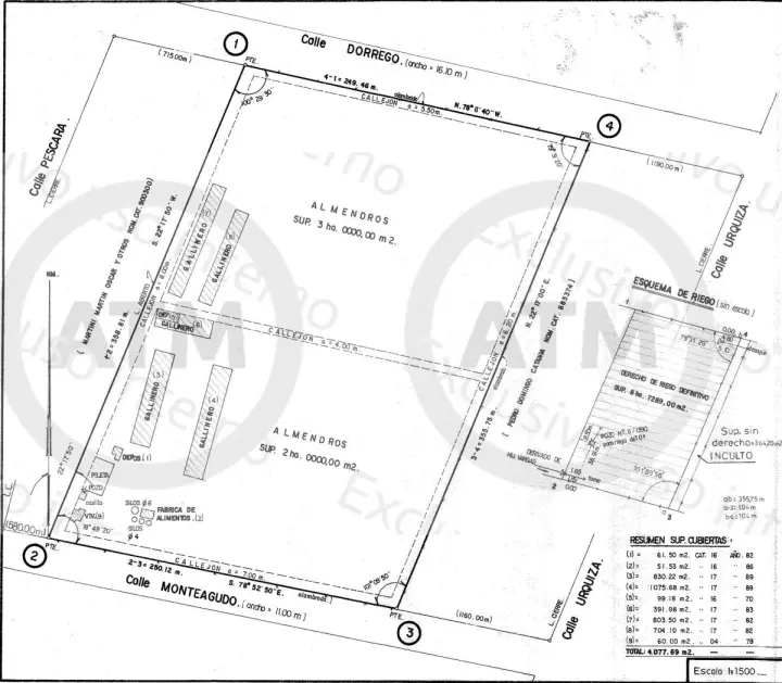 Lote de 90.000 m² en Maipú