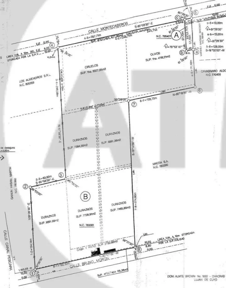 Lote de 78.200 m² en Coquimbito