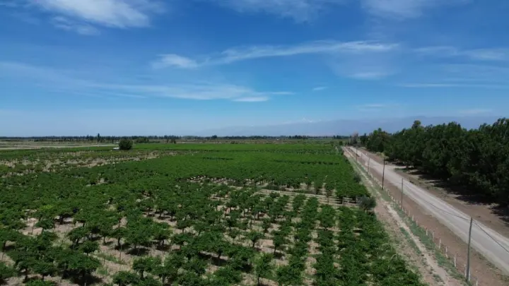 Finca de 280 m² en Lavalle