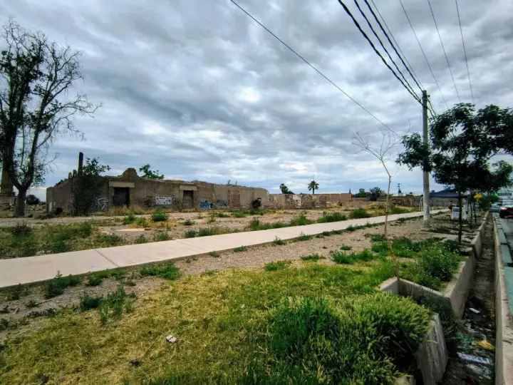 Lote de 25.000 m² en Rodeo de la Cruz