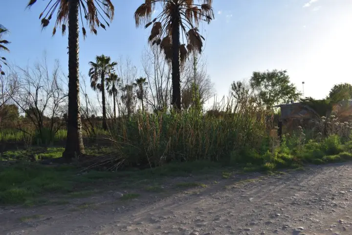 Lote de 1.000 m² en Guaymallén, foto 1