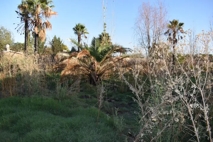Lote de 1.000 m² en Guaymallén, foto 1