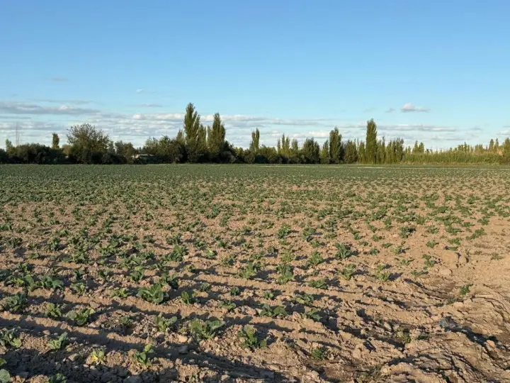 Lote de 6 m² en Rodeo del Medio