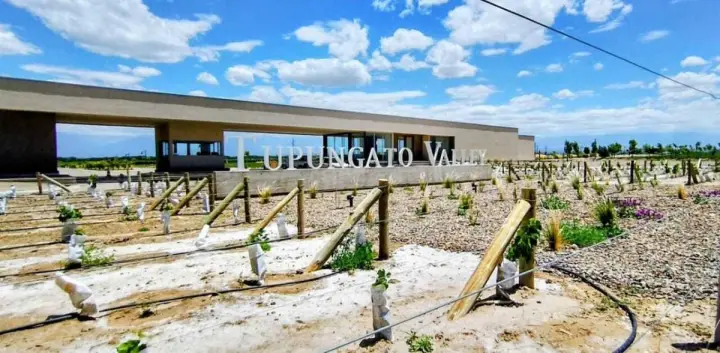 Lote de 1.260 m² en Tupungato