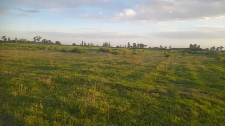 Lote de 1.000 m² en San Rafael