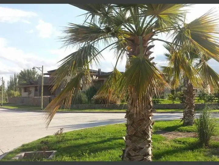 Lote de 300 m² en Bermejo