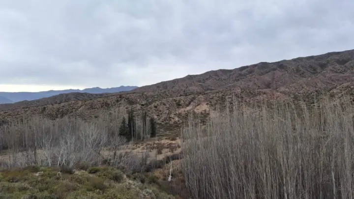 Lote de 42.000 m² en Potrerillos