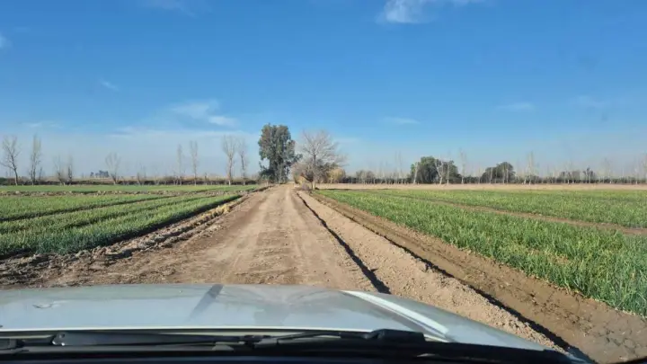 Lote de 10,0 ha en Lavalle
