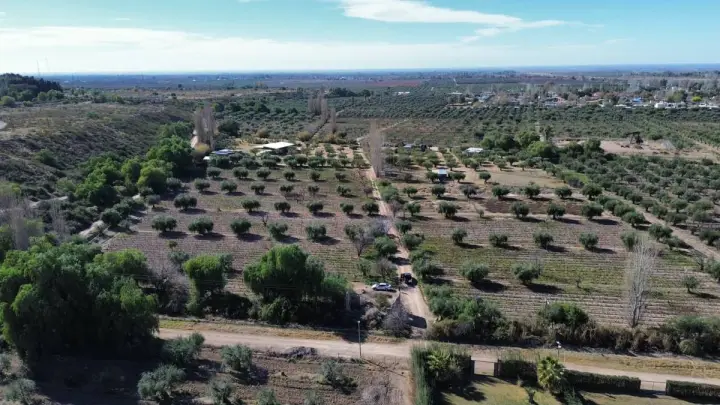 Finca de 3 m² en Lunlunta