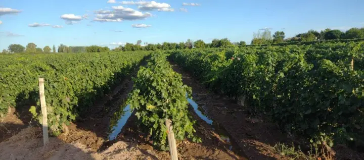 Finca de 13 m² en San Martín