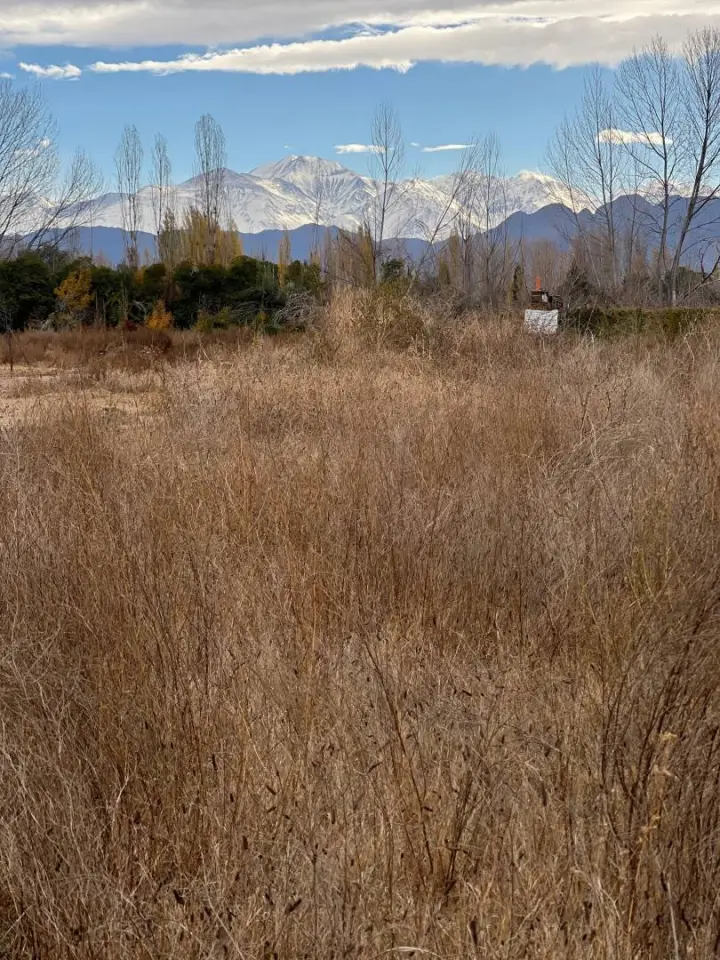 Lote de 1.000 m² en Vistalba