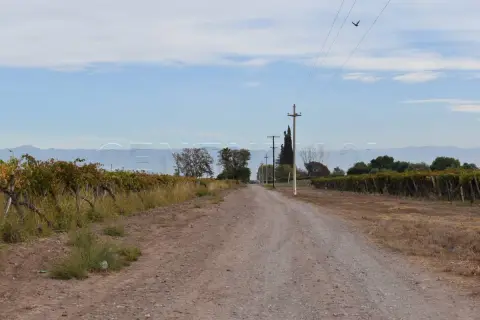 Campo de 10,0 ha en General San Martín