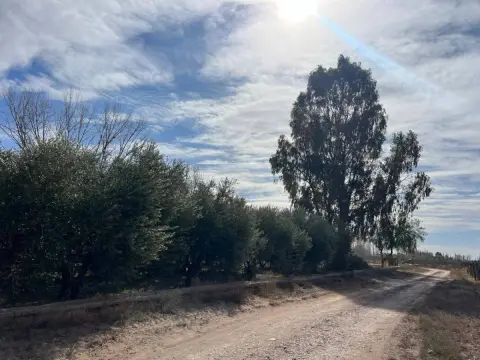 Campo de 30,0 ha en Lavalle