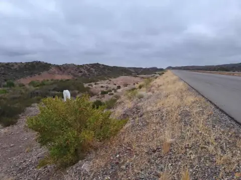 Lote de 69,0 ha en Luján de Cuyo
