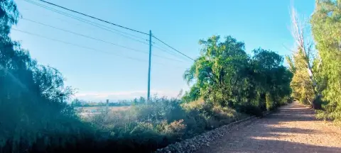 Lote de 10.000 m² en Maipú
