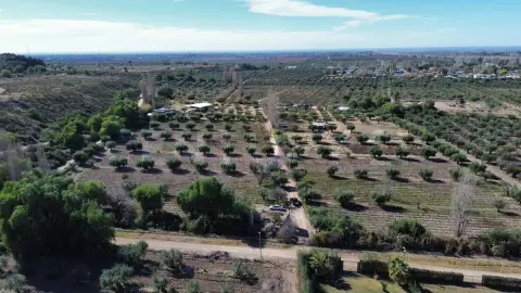 Campo de 16.800 m² en Lunlunta