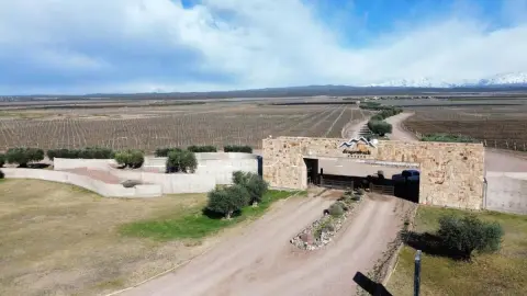 Inmueble productivo de 6.000 m² en Agrelo